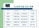 EU통일헌법에 대한 논의 7페이지