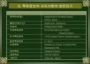 특허권침해 29페이지
