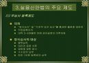 특허권침해 45페이지