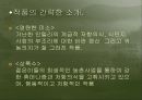 영상문학 기행 심 훈(沈熏) 5페이지