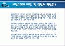 고용안정화정책과 비정규직 문제 21페이지