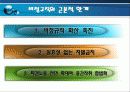 고용안정화정책과 비정규직 문제 24페이지