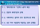 고용안정화정책과 비정규직 문제 25페이지
