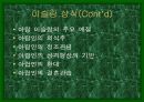 이슬람과 아랍문화 14페이지