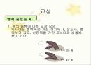 응급처치 교육 22페이지