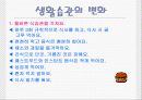 비만예방교육 파워포인트 9페이지