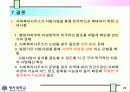 사회복지전달체계개편방안 21페이지