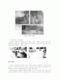 동아시아와 인류문명 - 아시아의 디딜방아 11페이지