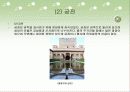 이슬람건축 5페이지