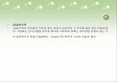 이슬람건축 6페이지