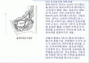(공동주택)부산 망미 주공아파트 4페이지