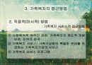 가족복지 10페이지