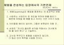 체벌을 통해서 본 교사와 학생심리 16페이지