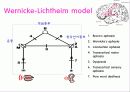 유창성 실어증 20페이지