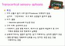 유창성 실어증 24페이지