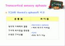 유창성 실어증 25페이지