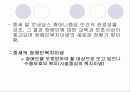 장애인복지발달 25페이지
