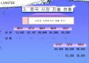 [마케팅] 태평양 중국 진출 마케팅 분석 3페이지