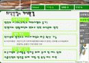 [마케팅] 크리스피 크림(Krispy Kream) 마케팅 완벽 분석 10페이지