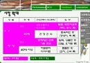 [마케팅] 크리스피 크림(Krispy Kream) 마케팅 완벽 분석 41페이지