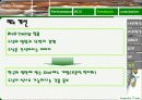 [마케팅] 크리스피 크림(Krispy Kream) 마케팅 완벽 분석 46페이지