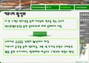 [마케팅] 크리스피 크림(Krispy Kream) 마케팅 완벽 분석 47페이지