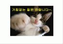 새우깡 분석 14페이지