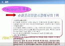 칫솔 등 기업! 콜게이트(Colgate) 사례 연구 38페이지