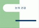 눈의 건강 1페이지