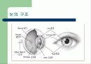 눈의 건강 4페이지