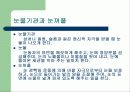 눈의 건강 13페이지