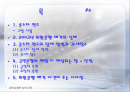 론스타 펀드와 외환은행 매각(외환은행 매각의 의미와 실체) 2페이지