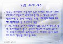 론스타 펀드와 외환은행 매각(외환은행 매각의 의미와 실체) 13페이지