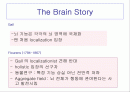 [인지 신경과학, 심리학, 뇌와 인지 ] 인지신경과학 2페이지