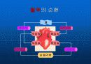 심폐소생술 10페이지