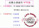심폐소생술 27페이지