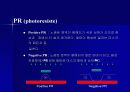반도체공정 및 장비 12페이지