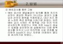 관능검사를 통한 소비자 기호도 검사 10페이지