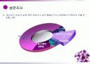American(아메리칸) 몽정기 18페이지