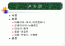 여성의 정치적 대표성 2페이지