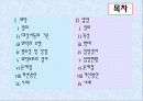 위탁과 입양 2페이지