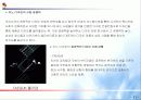 디자인 경영으로 성공한 기업사례 연구 11페이지