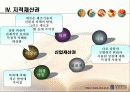 기술가치평가와 지적재산권 21페이지