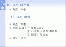 1족 원소 알칼리 금속 17페이지