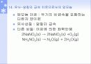 1족 원소 알칼리 금속 20페이지