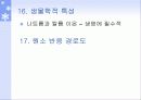 1족 원소 알칼리 금속 23페이지