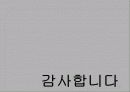 초국적 미디어 그룹과 스포츠 14페이지