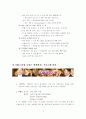 TV 방송언어의 문제점 6페이지