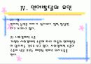 영아기의 지각  인지 발달 30페이지