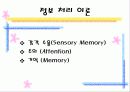 영아기의 지각  인지 발달 33페이지